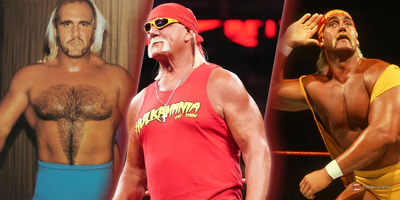 2010s Celebrity Sex Tape Era: From Hulk Hogan to Erin press shot