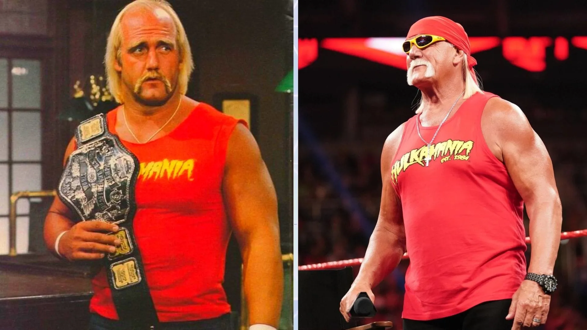 2010s Celebrity Sex Tape Era: From Hulk Hogan to Erin editorial