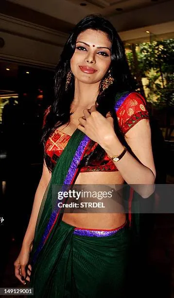 Sherlyn Chopra Retrospective: First Indian Playboy Cover red carpet