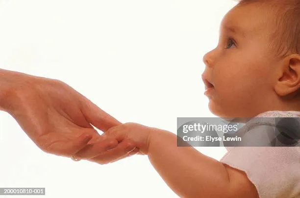 Small Hands headshot 2024